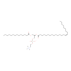 ChemSpider 2D Image | 1-tetradecanoyl-2-[(15Z)-tetracosenoyl]-sn-glycero-3-phosphocholine | C46H90NO8P
