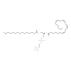 ChemSpider 2D Image | (2R)-2-[(7Z,10Z,13Z,16Z)-7,10,13,16-Docosatetraenoyloxy]-3-(pentadecanoyloxy)propyl 2-(trimethylammonio)ethyl phosphate | C45H82NO8P