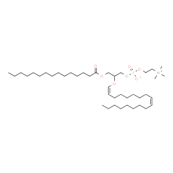 ChemSpider 2D Image | 2-[(1Z,9Z)-1,9-Octadecadien-1-yloxy]-3-(pentadecanoyloxy)propyl 2-(trimethylammonio)ethyl phosphate | C41H80NO7P