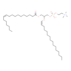 ChemSpider 2D Image | PC(18:1(11Z)/P-16:0) | C42H82NO7P