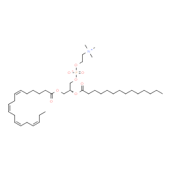 ChemSpider 2D Image | (2R)-3-[(6Z,9Z,12Z,15Z)-6,9,12,15-Octadecatetraenoyloxy]-2-(tetradecanoyloxy)propyl 2-(trimethylammonio)ethyl phosphate | C40H72NO8P