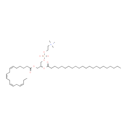 ChemSpider 2D Image | (2R)-2-(Docosanoyloxy)-3-[(6Z,9Z,12Z,15Z)-6,9,12,15-octadecatetraenoyloxy]propyl 2-(trimethylammonio)ethyl phosphate | C48H88NO8P