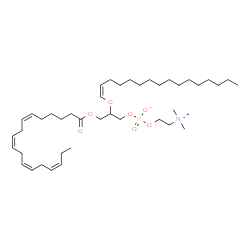 ChemSpider 2D Image | PC(18:4(6Z,9Z,12Z,15Z)/P-16:0) | C42H76NO7P