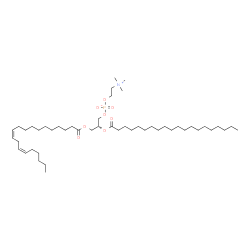 ChemSpider 2D Image | (2R)-3-[(11Z,14Z)-11,14-Icosadienoyloxy]-2-(icosanoyloxy)propyl 2-(trimethylammonio)ethyl phosphate | C48H92NO8P