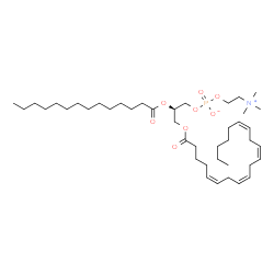 ChemSpider 2D Image | PC(20:4(5Z,8Z,11Z,14Z)/14:0) | C42H76NO8P