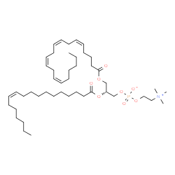 ChemSpider 2D Image | PC(20:4(5Z,8Z,11Z,14Z)/18:1(11Z)) | C46H82NO8P