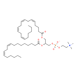 ChemSpider 2D Image | 1-[(5Z,8Z,11Z,14Z)-eicosatetraenoyl]-2-[(9Z,12Z)-octadecadienoyl]-sn-glycero-3-phosphocholine | C46H80NO8P