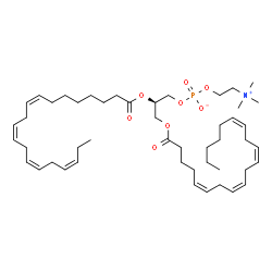 ChemSpider 2D Image | (2R)-3-[(5Z,8Z,11Z,14Z)-5,8,11,14-Icosatetraenoyloxy]-2-[(8Z,11Z,14Z,17Z)-8,11,14,17-icosatetraenoyloxy]propyl 2-(trimethylammonio)ethyl phosphate | C48H80NO8P