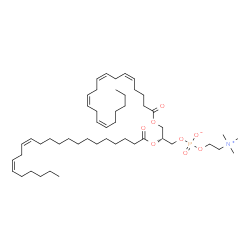 ChemSpider 2D Image | (2R)-2-[(13Z,16Z)-13,16-Docosadienoyloxy]-3-[(5Z,8Z,11Z,14Z)-5,8,11,14-icosatetraenoyloxy]propyl 2-(trimethylammonio)ethyl phosphate | C50H88NO8P