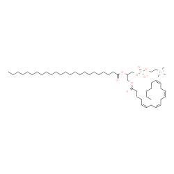 ChemSpider 2D Image | 3-[(5Z,8Z,11Z,14Z)-5,8,11,14-Icosatetraenoyloxy]-2-(tetracosanoyloxy)propyl 2-(trimethylammonio)ethyl phosphate | C52H96NO8P