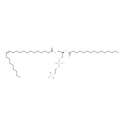 ChemSpider 2D Image | (2R)-3-[(13Z)-13-Docosenoyloxy]-2-(pentadecanoyloxy)propyl 2-(trimethylammonio)ethyl phosphate | C45H88NO8P