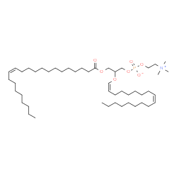 ChemSpider 2D Image | 3-[(13Z)-13-Docosenoyloxy]-2-[(1Z,9Z)-1,9-octadecadien-1-yloxy]propyl 2-(trimethylammonio)ethyl phosphate | C48H92NO7P