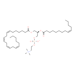 ChemSpider 2D Image | PC(22:4(7Z,10Z,13Z,16Z)/14:1(9Z)) | C44H78NO8P