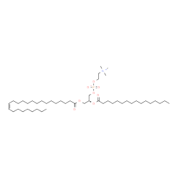 ChemSpider 2D Image | (2R)-2-(Palmitoyloxy)-3-[(15Z)-15-tetracosenoyloxy]propyl 2-(trimethylammonio)ethyl phosphate | C48H94NO8P