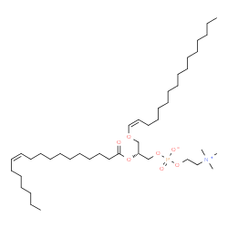 ChemSpider 2D Image | PC(P-16:0/18:1(11Z)) | C42H82NO7P