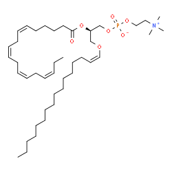 ChemSpider 2D Image | PC(P-16:0/18:4(6Z,9Z,12Z,15Z)) | C42H76NO7P
