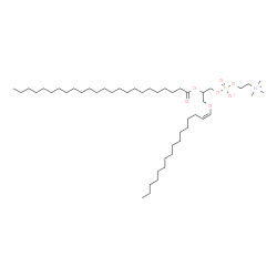 ChemSpider 2D Image | 3-[(1Z)-1-Hexadecen-1-yloxy]-2-(tetracosanoyloxy)propyl 2-(trimethylammonio)ethyl phosphate | C48H96NO7P