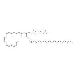 ChemSpider 2D Image | PC(P-18:0/18:4(6Z,9Z,12Z,15Z)) | C44H80NO7P