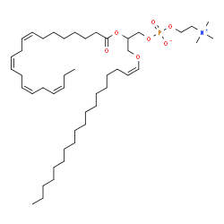 ChemSpider 2D Image | PC(P-18:0/20:4(8Z,11Z,14Z,17Z)) | C46H84NO7P
