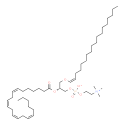 ChemSpider 2D Image | (2R)-2-[(7Z,10Z,13Z,16Z)-7,10,13,16-Docosatetraenoyloxy]-3-[(1Z)-1-octadecen-1-yloxy]propyl 2-(trimethylammonio)ethyl phosphate | C48H88NO7P