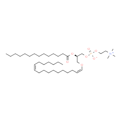 ChemSpider 2D Image | PC(P-18:1(11Z)/14:0) | C40H78NO7P