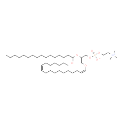 ChemSpider 2D Image | PC(P-18:1(11Z)/16:0) | C42H82NO7P
