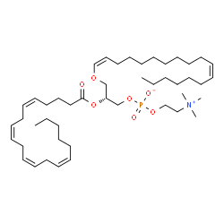 ChemSpider 2D Image | PC(P-18:1(11Z)/20:4(5Z,8Z,11Z,14Z)) | C46H82NO7P