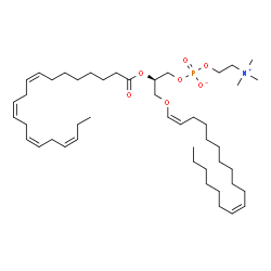 ChemSpider 2D Image | PC(dm18:1(11Z)/20:4(8Z,11Z,14Z,17Z)) | C46H82NO7P