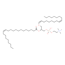 ChemSpider 2D Image | (2R)-2-[(13Z)-13-Docosenoyloxy]-3-[(1Z,9Z)-1,9-octadecadien-1-yloxy]propyl 2-(trimethylammonio)ethyl phosphate | C48H92NO7P