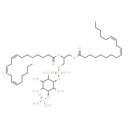 ChemSpider 2D Image | (2R)-1-[(Hydroxy{[(1S,5R)-2,3,4,6-tetrahydroxy-5-(phosphonooxy)cyclohexyl]oxy}phosphoryl)oxy]-3-[(9Z,12Z)-9,12-octadecadienoyloxy]-2-propanyl (8Z,11Z,14Z)-8,11,14-icosatrienoate | C47H82O16P2