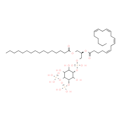 ChemSpider 2D Image | (2R)-1-[(Hydroxy{[(1S,5S)-2,3,6-trihydroxy-4,5-bis(phosphonooxy)cyclohexyl]oxy}phosphoryl)oxy]-3-(palmitoyloxy)-2-propanyl (5Z,8Z,11Z,14Z)-5,8,11,14-icosatetraenoate | C45H81O19P3