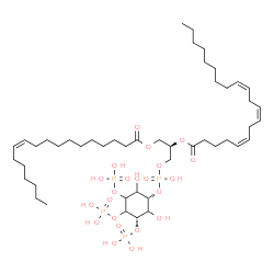 ChemSpider 2D Image | (2R)-1-{[{[(3S)-2,6-Dihydroxy-3,4,5-tris(phosphonooxy)cyclohexyl]oxy}(hydroxy)phosphoryl]oxy}-3-[(11Z)-11-octadecenoyloxy]-2-propanyl (5Z,8Z,11Z)-5,8,11-icosatrienoate | C47H86O22P4