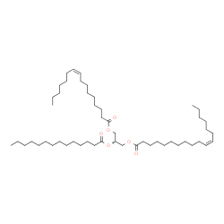 ChemSpider 2D Image | TG(16:1(9Z)/14:0/18:1(11Z))[iso6] | C51H94O6