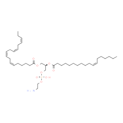 ChemSpider 2D Image | (2R)-3-{[(2-Aminoethoxy)(hydroxy)phosphoryl]oxy}-2-[(11Z)-11-octadecenoyloxy]propyl (6Z,9Z,12Z,15Z)-6,9,12,15-octadecatetraenoate | C41H72NO8P
