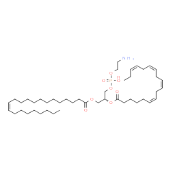 ChemSpider 2D Image | (2R)-3-{[(2-Aminoethoxy)(hydroxy)phosphoryl]oxy}-2-[(6Z,9Z,12Z,15Z)-6,9,12,15-octadecatetraenoyloxy]propyl (13Z)-13-docosenoate | C45H80NO8P