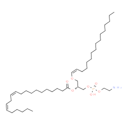 ChemSpider 2D Image | (15Z,19R)-25-Amino-22-hydroxy-22-oxido-17,21,23-trioxa-22lambda~5~-phosphapentacos-15-en-19-yl (11Z,14Z)-11,14-icosadienoate | C41H78NO7P