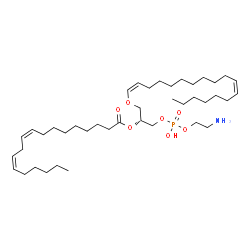ChemSpider 2D Image | 1-(1Z,11Z-octadecadienyl)-2-linoleoyl-sn-glycero-3-phosphoethanolamine | C41H76NO7P