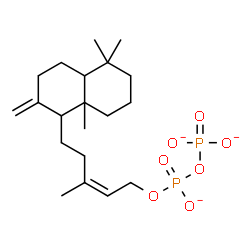 ChemSpider 2D Image | Diphosphoric acid, mono[(2Z)-5-(decahydro-5,5,8a-trimethyl-2-methylene-1-naphthalenyl)-3-methyl-2-penten-1-yl] ester, ion(3-) | C20H33O7P2