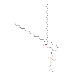 ChemSpider 2D Image | 2-[(9E,12E,15E)-9,12,15-Octadecatrienoyloxy]-3-(palmitoyloxy)propyl 2-(trimethylammonio)ethyl phosphate | C42H78NO8P