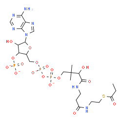 ChemSpider 2D Image | 9H-Purin-6-amine, 9-[5-O-[hydroxy[[hydroxy[3-hydroxy-2,2-dimethyl-4-oxo-4-[[3-oxo-3-[[2-[(1-oxopropyl)thio]ethyl]amino]propyl]amino]butoxy]phosphinyl]oxy]phosphinyl]-3-O-phosphonopentofuranosyl]-, ion
(4-) | C24H36N7O17P3S