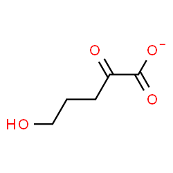 ChemSpider 2D Image | 5-Hydroxy-2-oxopentanoate | C5H7O4