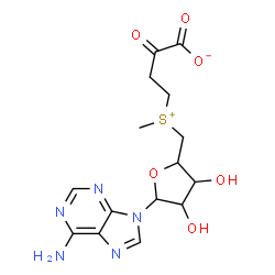 ChemSpider 2D Image | 4-[[5-(6-aminopurin-9-yl)-3,4-dihydroxy-tetrahydrofuran-2-yl]methyl-methyl-sulfonio]-2-oxo-butanoate | C15H19N5O6S