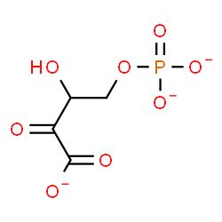 ChemSpider 2D Image | 3-Hydroxy-2-oxo-4-(phosphonatooxy)butanoate | C4H4O8P