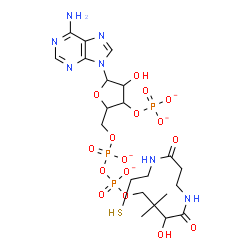ChemSpider 2D Image | 9H-Purin-6-amine, 9-[5-O-[hydroxy[[hydroxy[3-hydroxy-4-[[3-[(2-mercaptoethyl)amino]-3-oxopropyl]amino]-2,2-dimethyl-4-oxobutoxy]phosphinyl]oxy]phosphinyl]-3-O-phosphonopentofuranosyl]-, ion(4-) | C21H32N7O16P3S