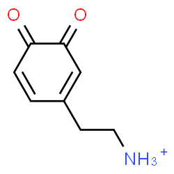 ChemSpider 2D Image | 2-(3,4-Dioxo-1,5-cyclohexadien-1-yl)ethanaminium | C8H8NO2