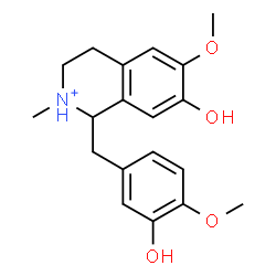 ChemSpider 2D Image | 7-Hydroxy-1-(3-hydroxy-4-methoxybenzyl)-6-methoxy-2-methyl-1,2,3,4-tetrahydroisoquinolinium | C19H24NO4