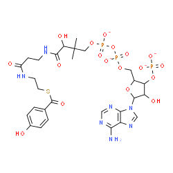 ChemSpider 2D Image | 9H-Purin-6-amine, 9-[5-O-[hydroxy[[hydroxy[3-hydroxy-4-[[3-[[2-[(4-hydroxybenzoyl)thio]ethyl]amino]-3-oxopropyl]amino]-2,2-dimethyl-4-oxobutoxy]phosphinyl]oxy]phosphinyl]-3-O-phosphonopentofuranosyl]-
, ion(4-) | C28H36N7O18P3S