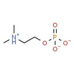 ChemSpider 2D Image | 2-(Dimethylammonio)ethyl phosphate | C4H11NO4P