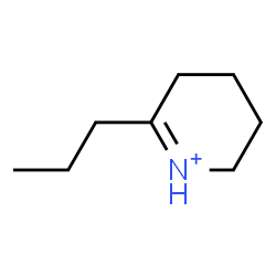 ChemSpider 2D Image | 6-Propyl-2,3,4,5-tetrahydropyridinium | C8H16N