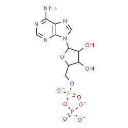 ChemSpider 2D Image | 9-{5-O-[(Phosphonatooxy)phosphinato]pentofuranosyl}-9H-purin-6-amine | C10H12N5O10P2